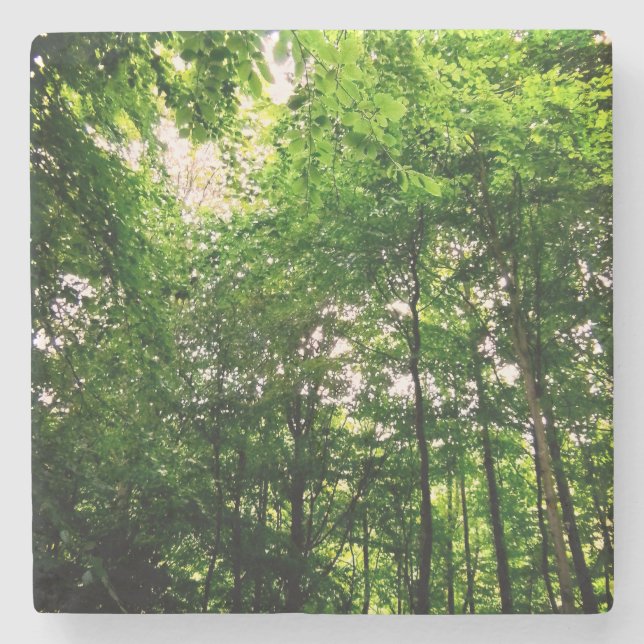 Porta-copo De Pedra Árvores (Frente)