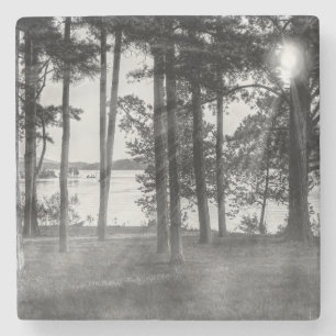 Porta-copo De Pedra Árvores De Perigo À Escala De Cinza De Rocha Mesa