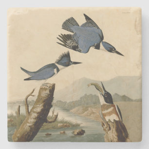 Porta-copo De Pedra Audubon Belfisher Kingfisher Wildlife Bird
