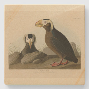 Porta-copo De Pedra Auk Tufted (Puffin) - Aves da América de Audubon