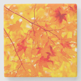 Porta-copo De Pedra Autumn Leaves Querem Natureza Laranja