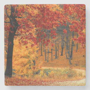 Porta-copo De Pedra Autumn Road