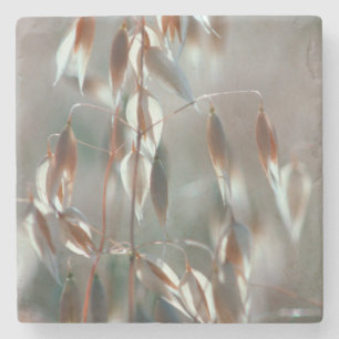 Porta-copo De Pedra Aveia De Ripe (Avena Sativa) Fechar. Ceres, Boland