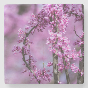 Porta-copo De Pedra Avondale Redbud Art