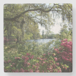 Porta-copo De Pedra Azáleas, jardins de Airlie