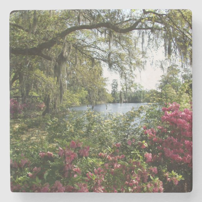 Porta-copo De Pedra Azáleas, jardins de Airlie (Frente)
