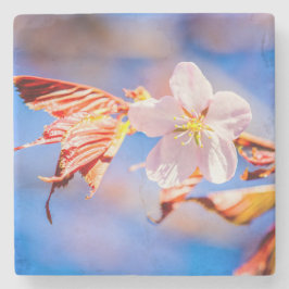 Porta-copo De Pedra Azul-céu cor-de-rosa Sakura