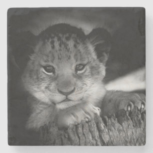 Porta-copo De Pedra Baby Lion