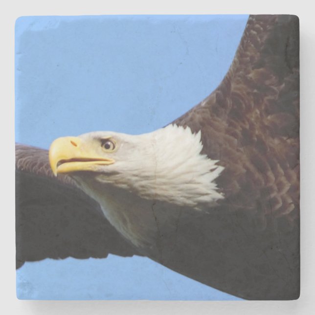 Porta-copo De Pedra Bald Eagle Blue Sky (Frente)