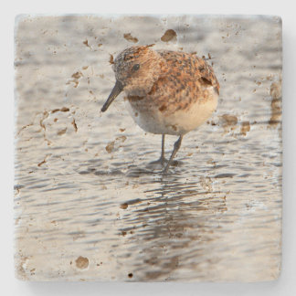 Porta-copo De Pedra Beach Bird Photo Stone Coaster