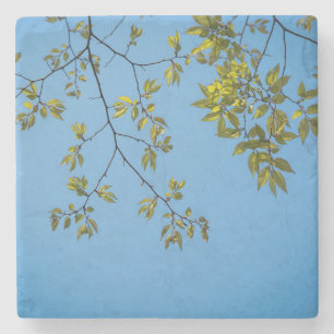 Porta-copo De Pedra beautiful branch with green and yellow leaves hug