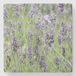 Porta-copo De Pedra Beautiful Lavender