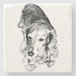 Porta-copo De Pedra Beba com Coluna Vertebral – Dachshund