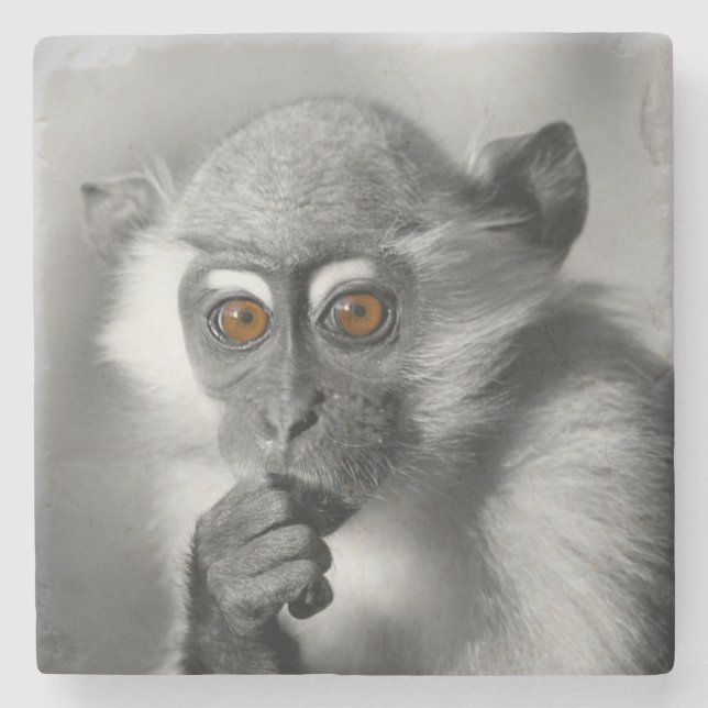 Porta-copo De Pedra Bebê Mangabey Mackey (Frente)