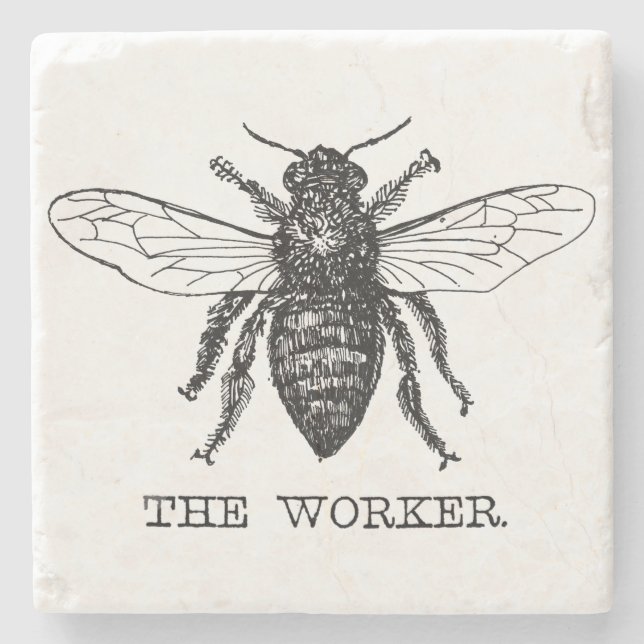 Porta-copo De Pedra Bee Worker Honey Black Bumblebee (Frente)