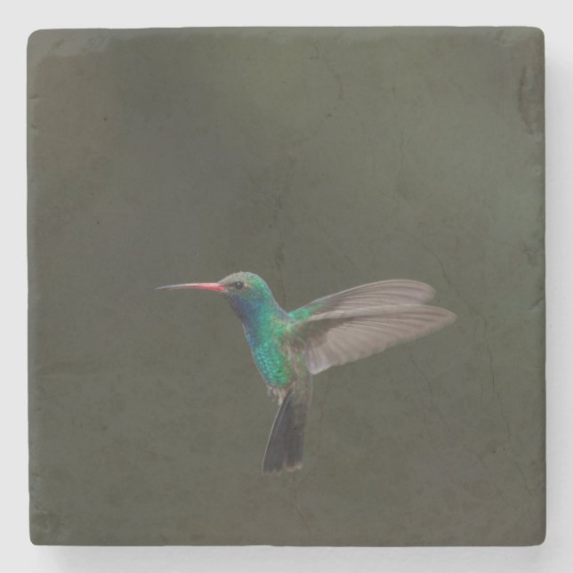 Porta-copo De Pedra Beija-flor-de-bico-largo em voo (Frente)