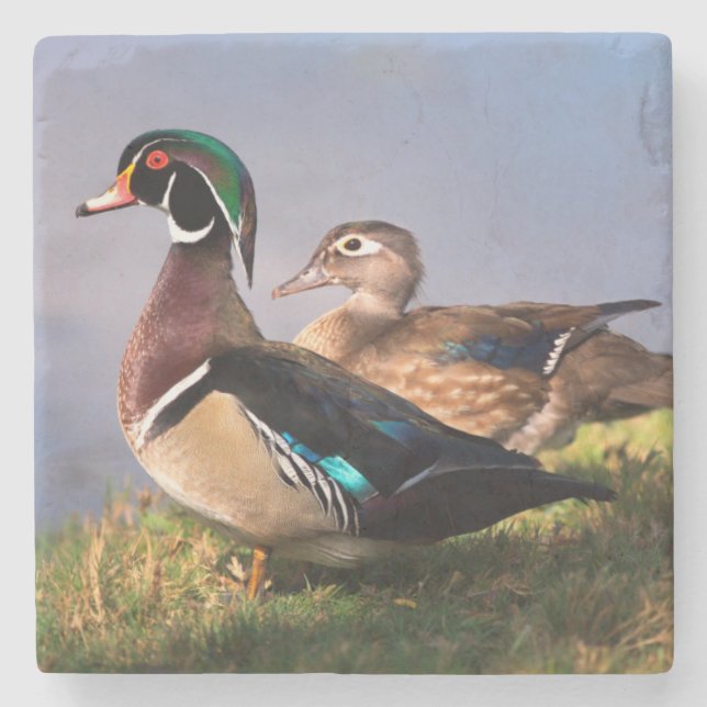 Porta-copo De Pedra Beira do lago, Pato-mandarin (Frente)