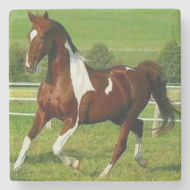 Porta-copo De Pedra Belo Cavalo (Frente)