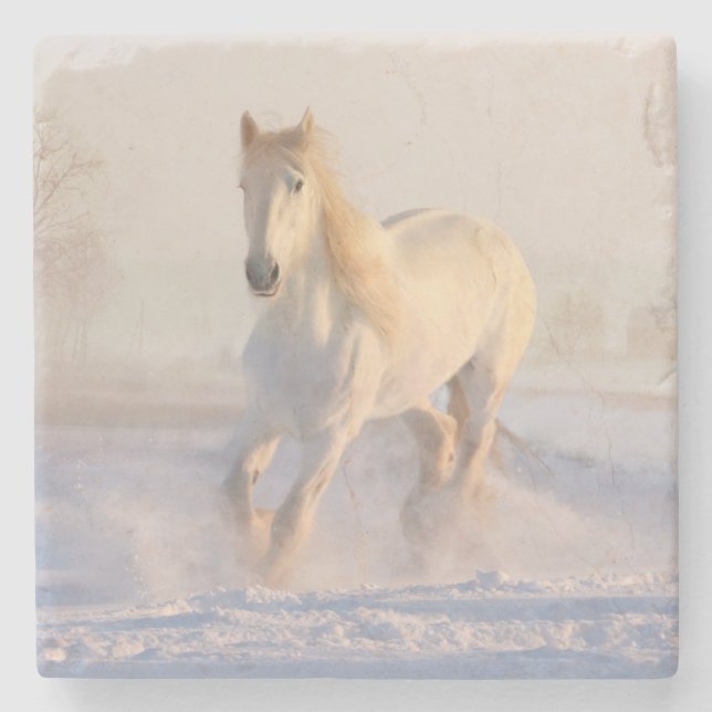 Porta-copo De Pedra Belo Estalão Branco Correndo Pela Neve (Frente)