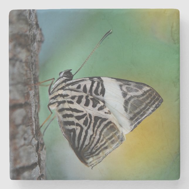 Porta-copo De Pedra Belo Mosaico Zebra Borboleta (Frente)