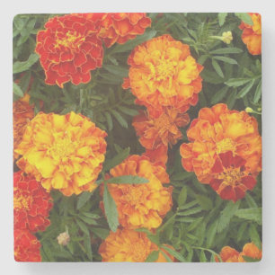 Porta-copo De Pedra Belos Marigolds Stone Porta copos