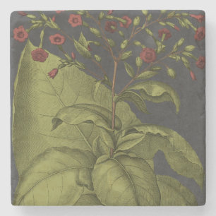 Porta-copo De Pedra Besler Dramatique I