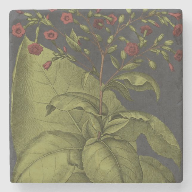 Porta-copo De Pedra Besler Dramatique I (Frente)