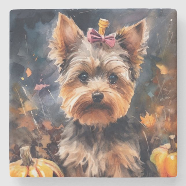 Porta-copo De Pedra Biewer Terrier de Halloween com Abóboras Assustado (Frente)
