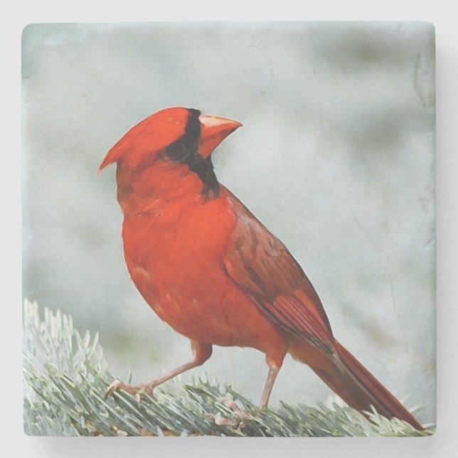 Porta-copo De Pedra Bird red _coaster (Frente)