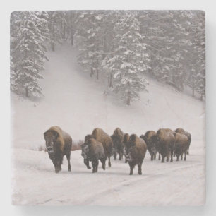 Porta-copo De Pedra Bisonte no inverno