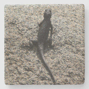 Porta-copo De Pedra Black Lizard
