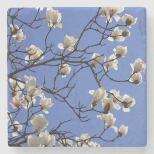 Porta-copo De Pedra Blooming Magnolias