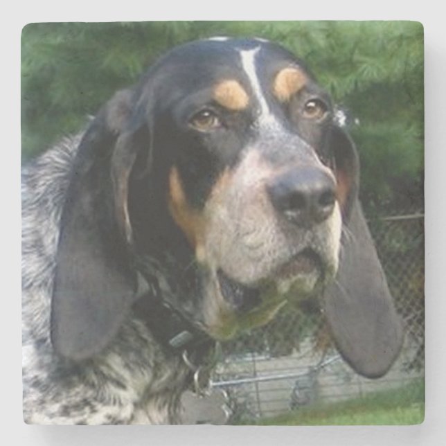 Porta-copo De Pedra Bluetick Coonhound.png (Frente)