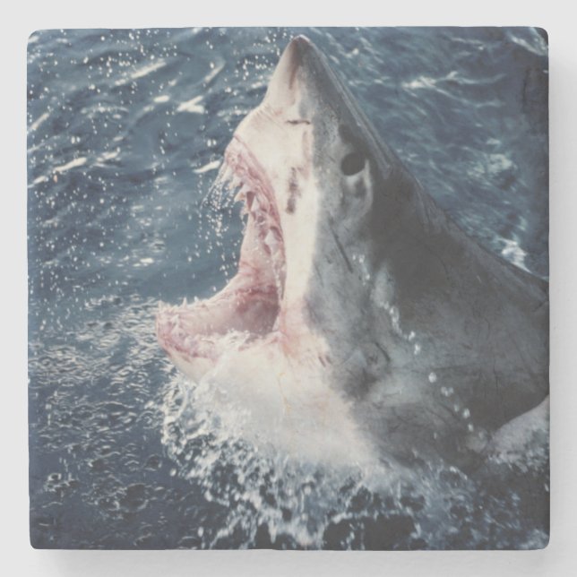 Porta-copo De Pedra Boca elevado do tubarão aberta (Frente)
