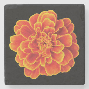 Porta-copo De Pedra Bonita Porta copos Marigold Stone