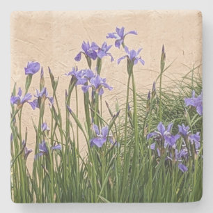Porta-copo De Pedra Bonito Blue Irises Floral