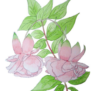 Porta-copo De Pedra bonito flores cor-de-rosa sobre fundo preto