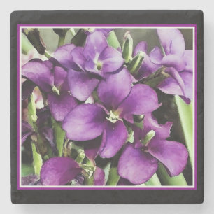 Porta-copo De Pedra Bonito na flor púrpura