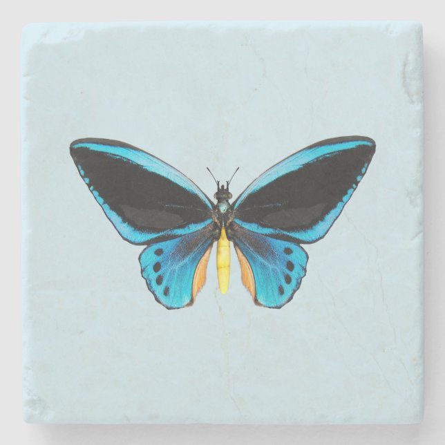 Porta-copo De Pedra Borboleta Birdwing (Frente)