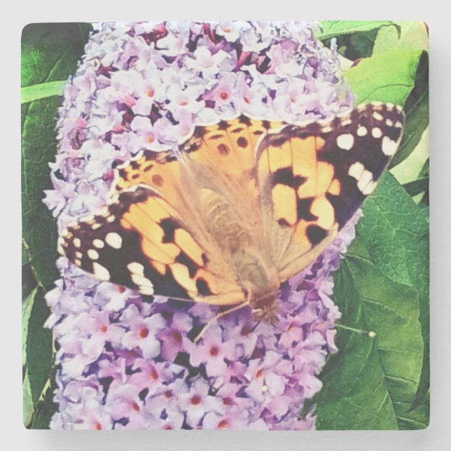 Porta-copo De Pedra Borboleta-branca e negra (Frente)