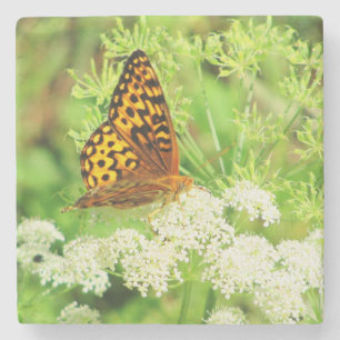 Porta-copo De Pedra Borboleta Laranja e Preta nas Flores
