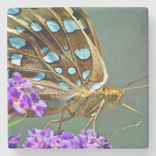 Porta-copo De Pedra Borboleta macro