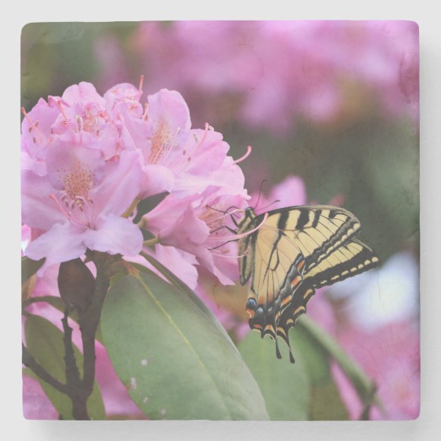 Porta-copo De Pedra Borboleta Paraíso (Frente)