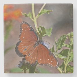 Porta-copo De Pedra Borboleta Rainha