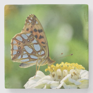 Porta-copo De Pedra Borboleta Rainha da Espanha em Flor Amarela e Bran