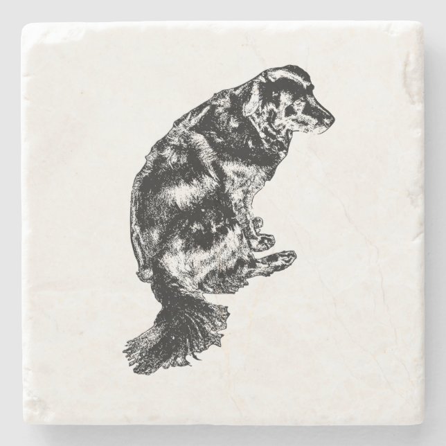 Porta-copo De Pedra Borda de Velas - Retriever (Frente)