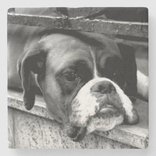Porta-copo De Pedra Boxer Dog na costa de Windowsill