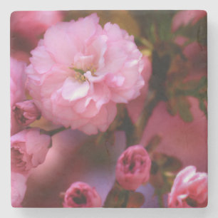 Porta-copo De Pedra Brilhantes Primavera cor-de-rosa de cereja