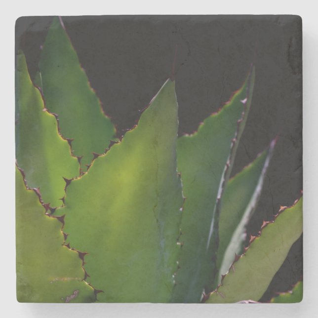 Porta-copo De Pedra Brilho de Agave (Frente)