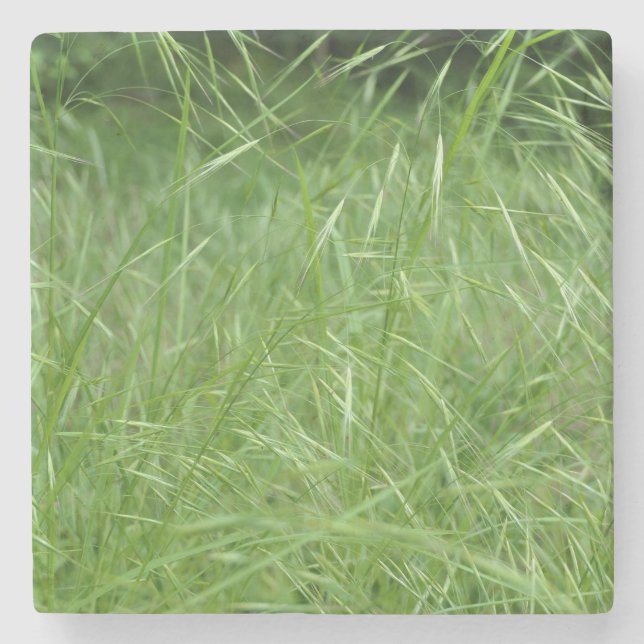 Porta-copo De Pedra Bromus tectorum (Frente)